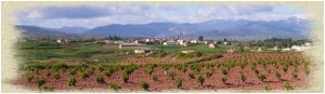 Richting Najera