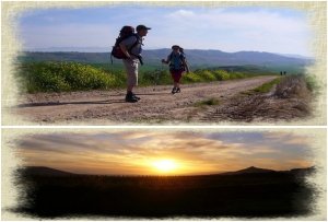 Nájera-Santo Domingo de la Calzada: 23 km